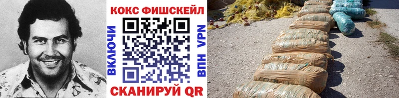 COCAIN Fish Scale Красноярск