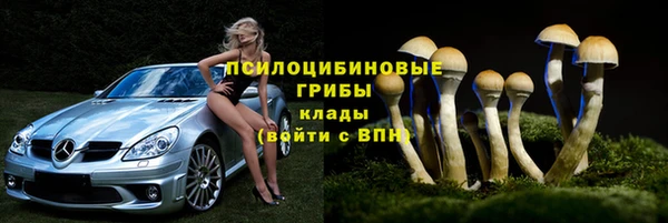 твердый Новокубанск