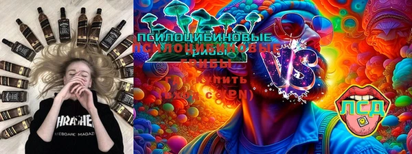 ГАЛЛЮЦИНОГЕННЫЕ ГРИБЫ Новозыбков