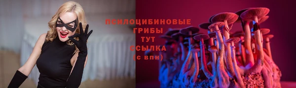 ГАЛЛЮЦИНОГЕННЫЕ ГРИБЫ Новозыбков