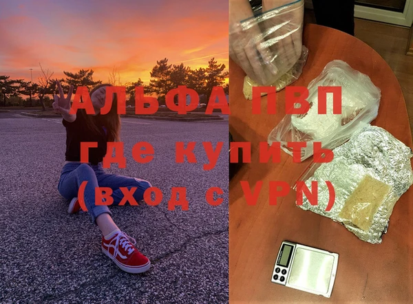 ГАЛЛЮЦИНОГЕННЫЕ ГРИБЫ Новозыбков