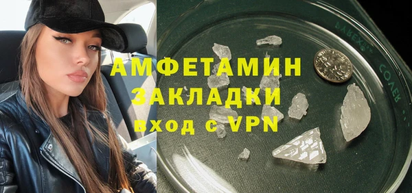 ГАЛЛЮЦИНОГЕННЫЕ ГРИБЫ Новозыбков