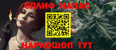 стафф Донской
