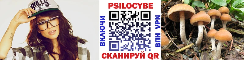 блэк спрут маркетплейс  купить   Красноярск  Псилоцибиновые грибы Psilocybine cubensis 