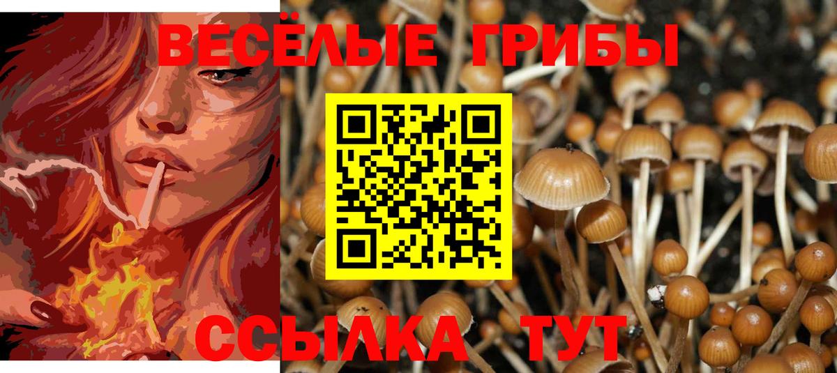 Красноярск  Псилоцибиновые грибы Psilocybine cubensis  купить наркотик  Псилоцибиновые грибы мухоморы  Вход с VPN 