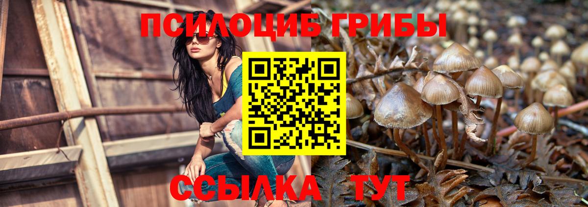Галлюциногенные грибы Cubensis Красноярск